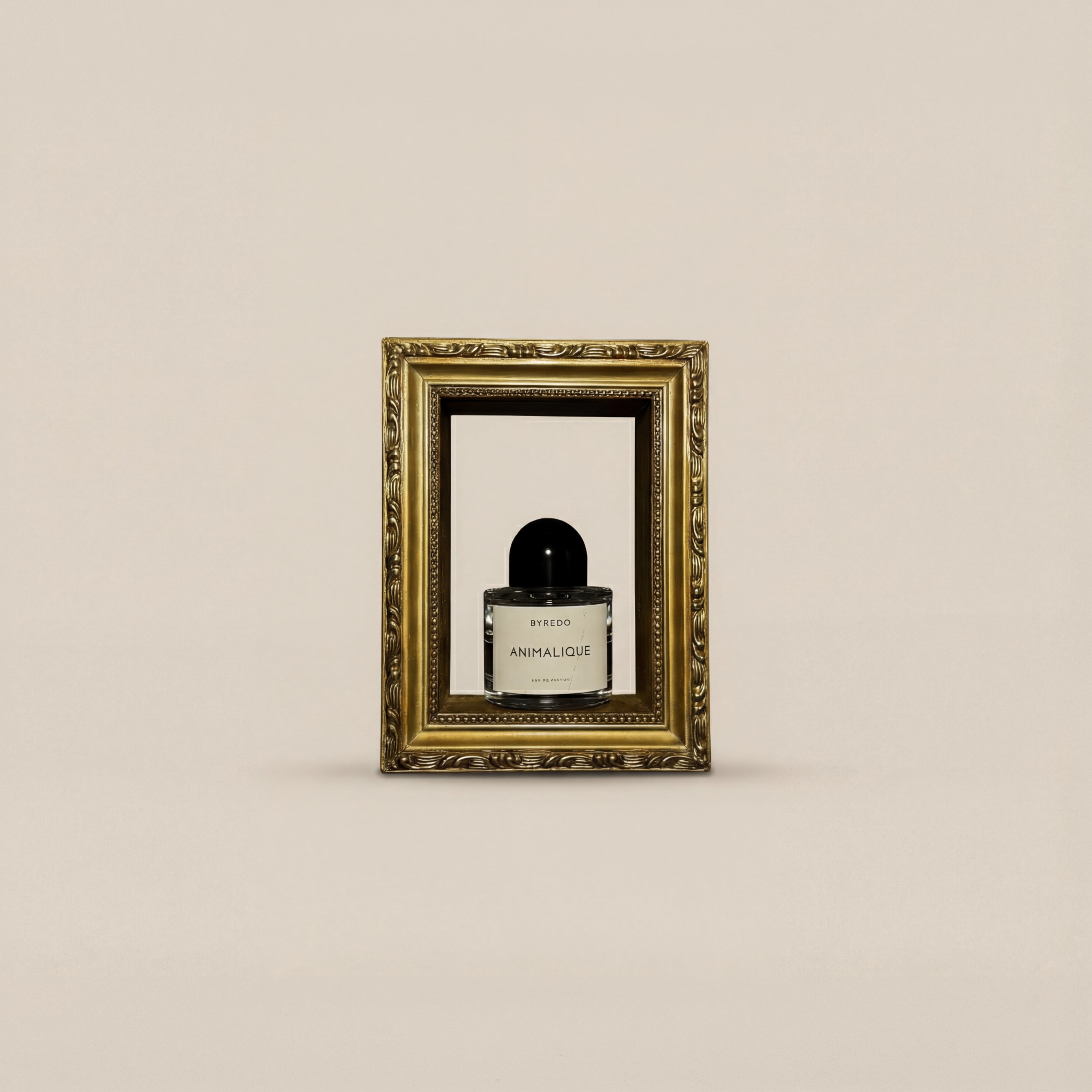 THE ICON FRAME