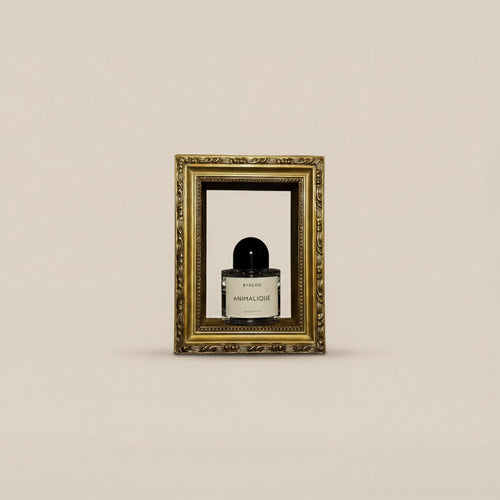 THE ICON FRAME